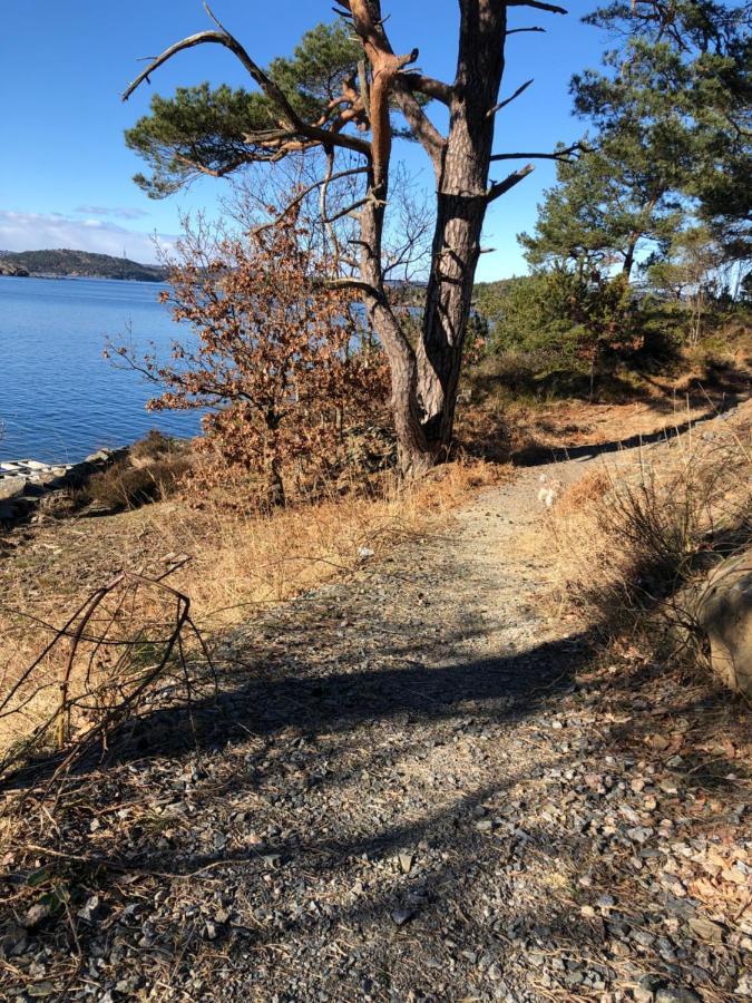 Sjonaer Idyll Apartment Kristiansand Bagian luar foto