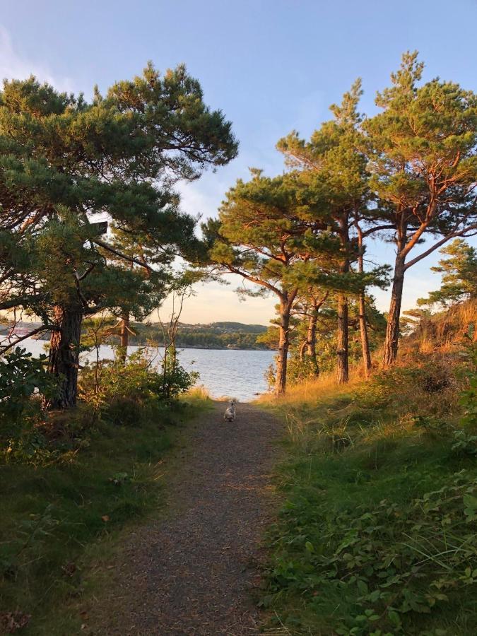 Sjonaer Idyll Apartment Kristiansand Bagian luar foto